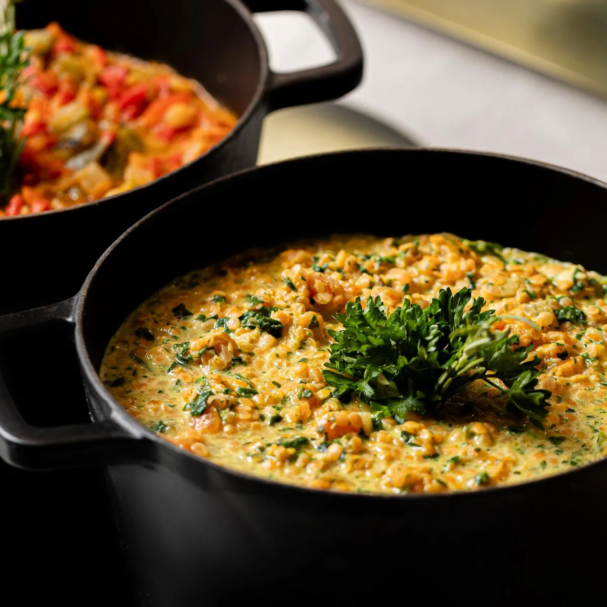Deux casseroles sur une plaque de cuisson, l'une contenant une préparation à base de lentilles et de persil, l'autre un ragoût de légumes