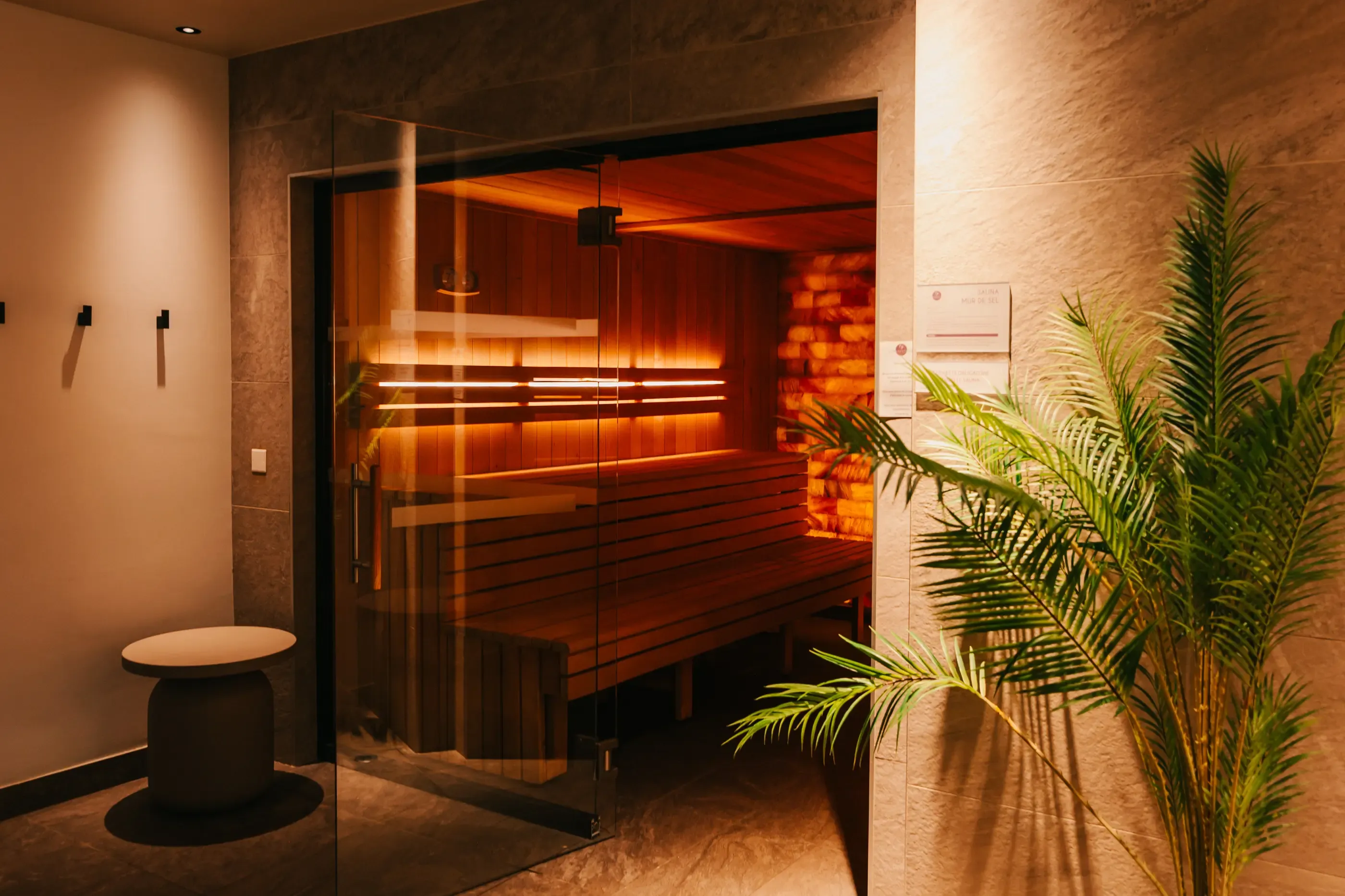 Salle de sauna en bois éclairée avec des bancs, vue à travers une porte vitrée, entourée de plantes vertes